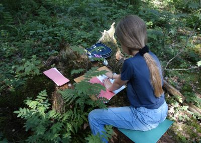 Draußenlernen: Vom Unterricht im Wald zur Schulkultur – Stiftung Wir helfen dem Wald