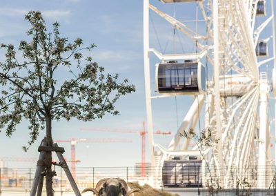 Almschule im Werksviertel-Mitte – Werksviertel-Mitte Stiftung